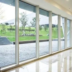 Janela de imagem francesa do caixilho com vidro moderado transparente do quadro de alumínio
